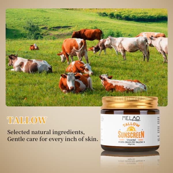 tallow zonnebrand 60 gram sunscreen, op een veld met koeien die gras eten